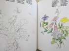 ほかの写真1: Porzellanmalerei - Blumen nach der Natur/Porcelain Painting - Flowers from Nature　ヒルデガルド・M．マウエルのポーセリン・ペインティングの本