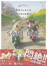 Making book 羊毛フェルトのリアルな愛犬 　*ko-ko* 　主婦の友社